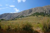 Apartmány Natalija - okolí domu, Pag-Sv. Marko, ostrov Pag, Chorvatsko
