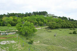 Apartmány Lucija - okolí domu, Novalja - Caska, ostrov Pag, Chorvatsko