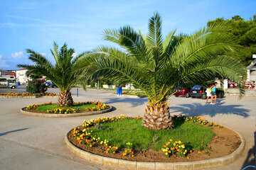 Novalja - městská promenáda, ostrov Pag, Chorvatsko