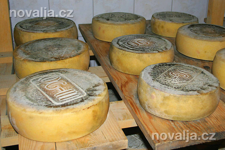 Výroba pažského syra