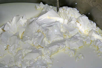 Výroba Pažského sýru, ostrov Pag