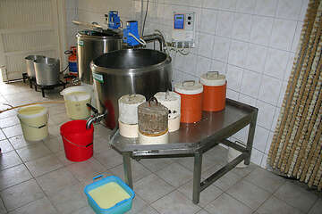 Výroba Pažského sýru, ostrov Pag