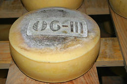 Výroba Pažského sýru, ostrov Pag