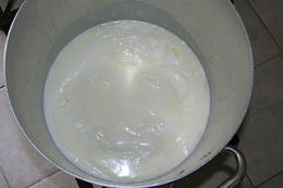 Výroba skuty, ostrov Pag