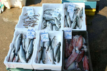 Prodej ryb v Novalji, ostrov Pag, Chorvatsko