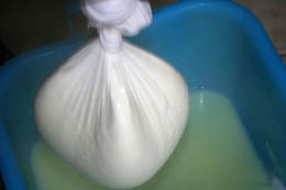 Výroba skuty, ostrov Pag