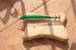 Lov olihní v Chorvatsku