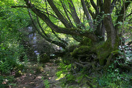 Horní tok Krky, Chorvatsko