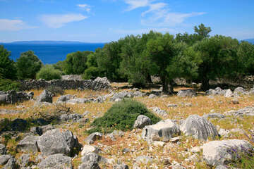 Chorvatsko, Apartmány Lun, Tovarnele, ostrov Pag