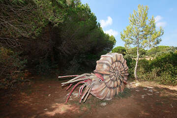 Poloostrov Kamenjak, Chorvatsko Istrie