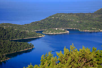 Mljet