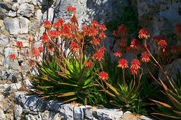 Národní park Mljet, Chorvatsko
