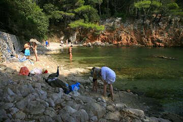 Slané jezero Mrtvo more, ostrov Lokrum, Chorvatsko
