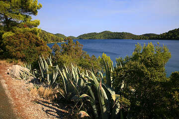 Národní park Mljet, cestou okolo Velikého jezera, Chorvatsko