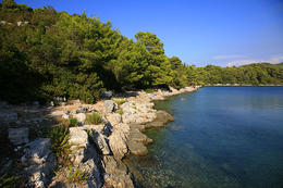 Národní park Mljet, pobřeží Velikého jezera, Chorvatsko
