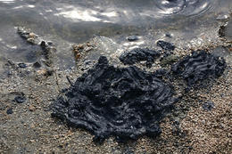 Léčivé bahno ve městě Pag, ostrov Pag, Chorvatsko