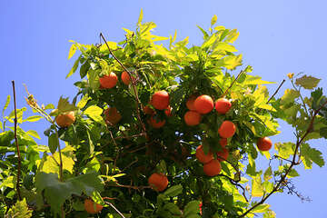 Letovisko Milna, ostrov Hvar, Chorvatsko