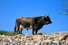 Ranč Vrata Biokova, chráněná oblast Biokovo, Chorvatsko