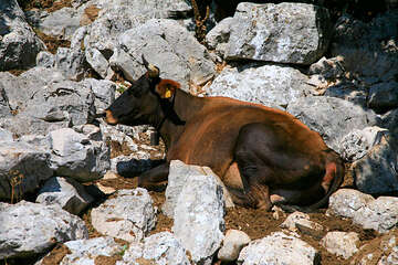Ranč Vrata Biokova, chráněná oblast Biokovo, Chorvatsko