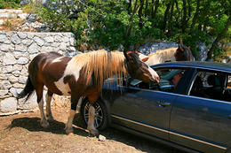 Ranč Vrata Biokova, chráněná oblast Biokovo, Chorvatsko