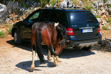 Ranč Vrata Biokova, chráněná oblast Biokovo, Chorvatsko