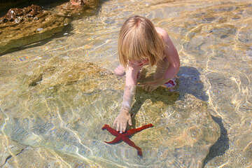 Mořská hvězdice - pláž Ručica, ostrov Pag, Chorvatsko