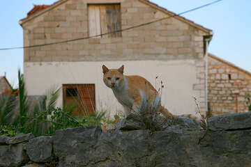 Grohote, ostrov Šolta, Chorvatsko