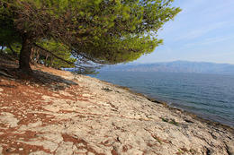 Apartmány Lina - pobřeží z plochých kamenů, letovisko Postira - ostrov Brač, Chorvatsko