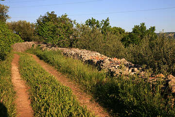 Starigradsko polje, ostrov Hvar