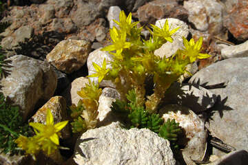 Přírodní park Velebit (nad Sv. Rokem), Chorvatsko