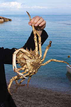 Rybolov - apartmány Maslina, Hvar, Chorvatsko