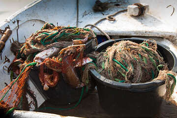 Rybolov - apartmány Maslina, Hvar, Chorvatsko