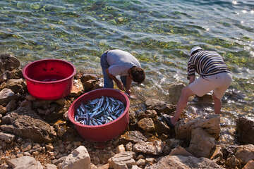 Čištění ulovených ryb