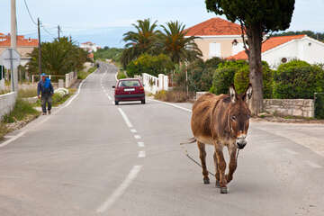 Gornje Selo, ostrov Šolta, Chorvatsko