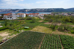 A3 - apartmány Stolac, Lopar, ostrov Rab, Chorvatsko