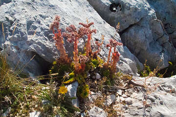 Pěší turistika v Biokovu