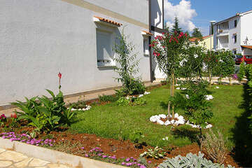 Apartmány František - okolí domu, Njivice, ostrov Krk, Chorvatsko