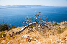 Výhledy cestou na Vela Farka, ostrov Brač, Chorvatsko