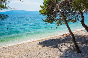 Apartmány Orhideja - oblázková pláž, Drvenik, Makarská riviéra, Chorvatsko