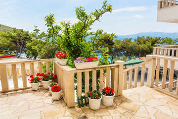 Apartmány Orhideja, Drvenik, Makarská riviéra, Chorvatsko