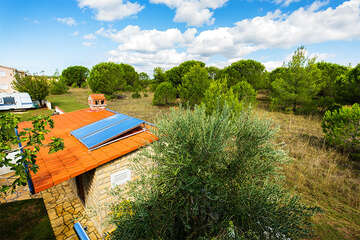 A1 - apartmány Cimet, Privlaka, Zadarská riviéra, Chorvatsko