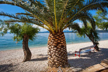 Apartmány Lucija - oblázková pláž, Živogošće - Blato, Makarská riviéra, Chorvatsko