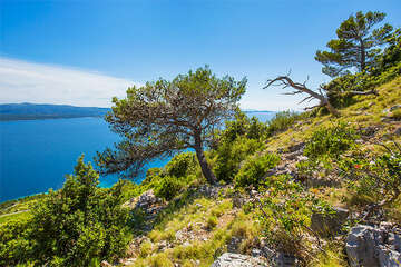 Dračí jeskyně (Zmajeva špilja), ostrov Brač, Chorvatsko