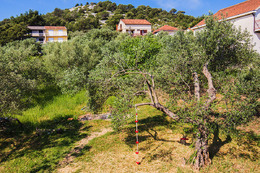 Apartmány Sagena - houpačka za domem, Tkon, ostrov Pašman, Chorvatsko