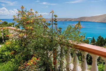 A1 - apartmány Tomislav, Vlašiči, ostrov Pag, Chorvatsko