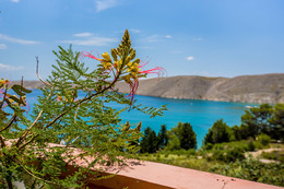 A1 - apartmány Tomislav, Vlašiči, ostrov Pag, Chorvatsko