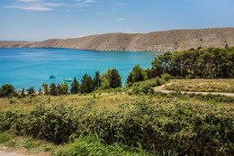 A1 - apartmány Tomislav, Vlašiči, ostrov Pag, Chorvatsko