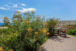 A2 - apartmány Tomislav, Vlašiči, ostrov Pag, Chorvatsko