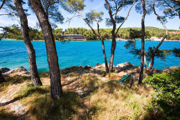 Stari Grad, borový lesík s lavičkou u pláže, ostrov Hvar, Chorvatsko
