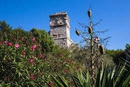 Ostrov Ščedro - pozůstatky kláštera v zátoce Manastir, Chorvatsko